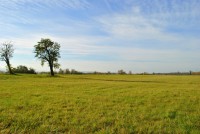 /album/termeszeti-ertekek/bucs-007-jpg/